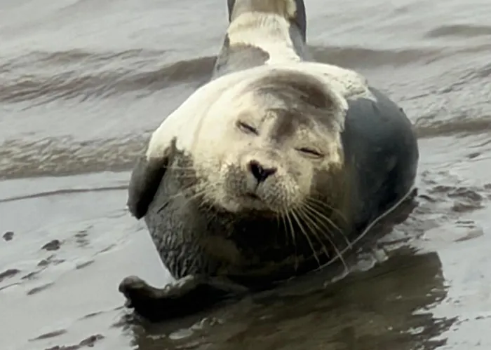 Apartamento Meehrblick Alte Liebe Cuxhaven